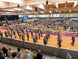 Marschparade Arena Geisingen Teil2_16