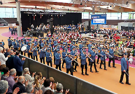 Marschparade Arena Geisingen Teil3_15
